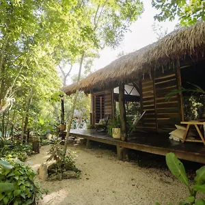 https://madre-tierra-eco-habitat-leona-vicario.allrivieramayahotels.com